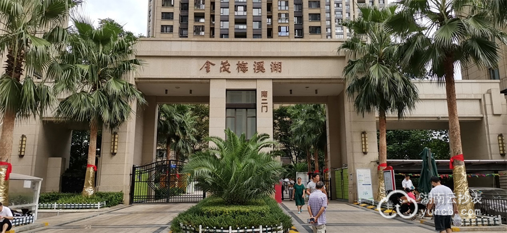 小區(qū)物業(yè)遠程預(yù)付費抄表系統(tǒng)案例——金茂梅溪湖